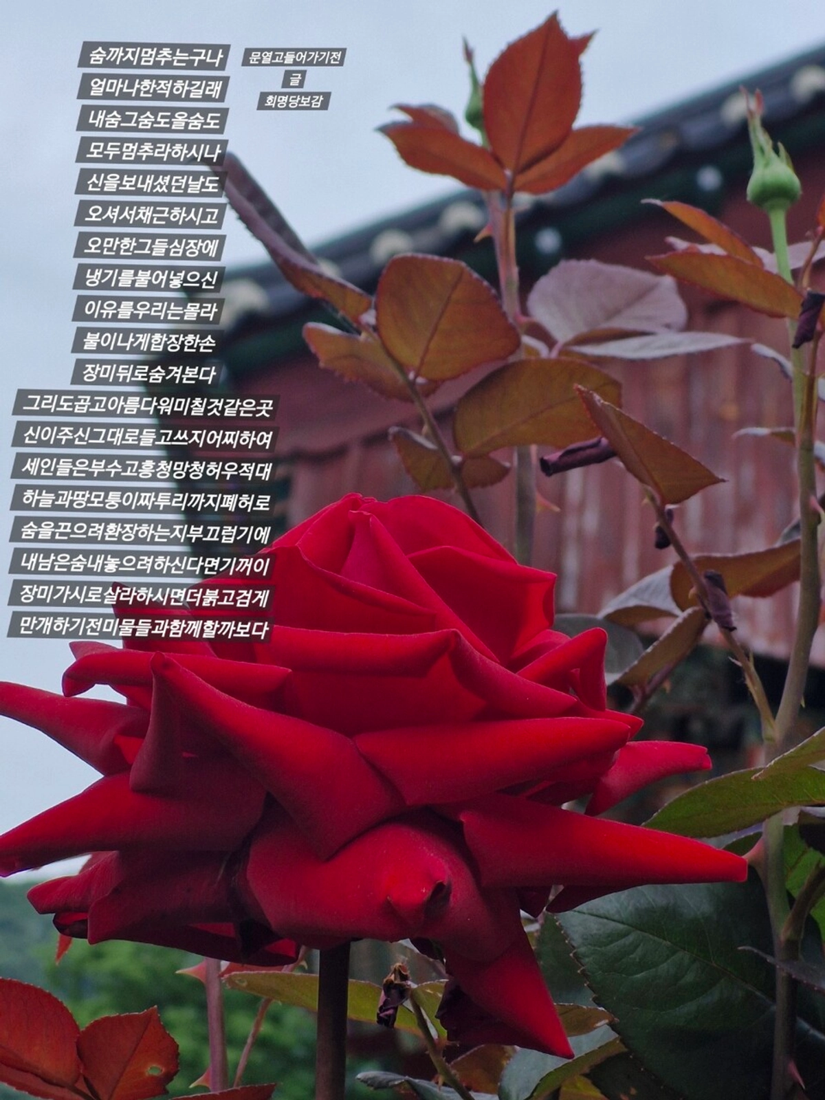대표 이미지